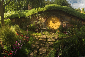 greenery, garden, houses, graphy HD wallpaper