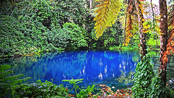 Nanda Blue Hole, Jackie's Blue Hole, Espiritu Santo, Vanuatu nature HD wallpaper