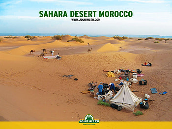 sahara desert , sahara, desert HD wallpaper
