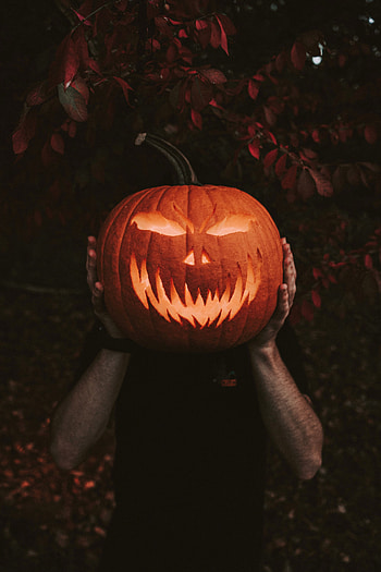 Halloween, Pumpkin, Miscellanea, Miscellaneous, Hands HD phone wallpaper