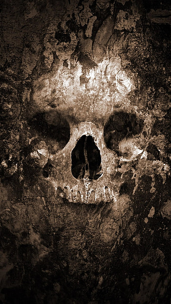 Midnight Cranium | Shadow Skull | Nocturne Bone | Skull Noir, dark, skull HD phone wallpaper