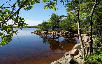 Lake in Canada, trees, rocks, lake, Canada HD wallpaper