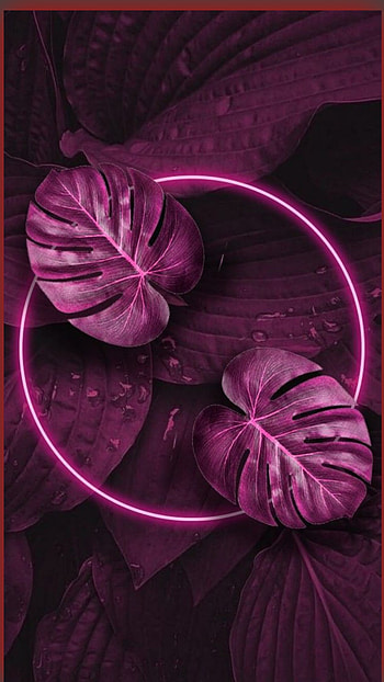 Neon, leave HD phone wallpaper