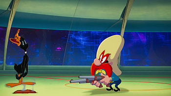Daffy Duck, Yosemite Sam HD wallpaper