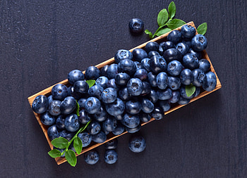Vibrant blueberries, Fruity refreshment, Burst of flavor, Delicious dessert HD wallpaper
