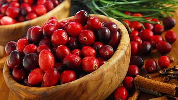 Bowl of ripe cranberries, Berry abundance, Cinnamon touch, Vibrant visuals HD wallpaper