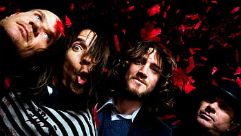 Red Hot Chili Peppers, Filled peppers , Spicy vibes, Hot peppers HD wallpaper