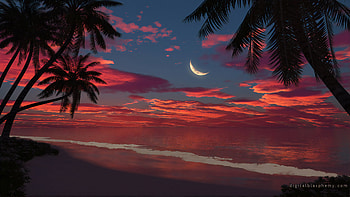 Sunrise Sonata , artist, artwork, digital-art, deviantart HD wallpaper