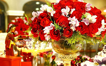 Flowers, Roses, Typography, Registration, Bouquet, Vase HD wallpaper