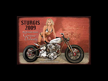 Sturgis 2009, motorcycle, bike, bikini, sturgis, female HD wallpaper
