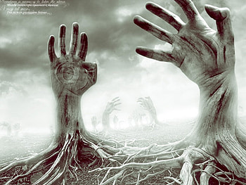 Wooden Hand, nature, wood HD wallpaper