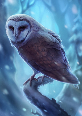 Art, Owl, Bird, Predator, Sight, Opinion HD phone wallpaper