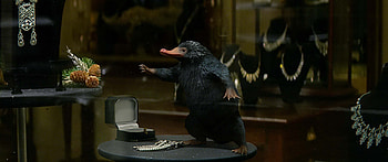 Niffler, Fantastic Beasts, Baby Nifflers, Grindelwald HD wallpaper