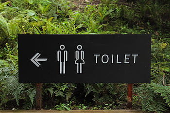 Outdoor toilet sign amidst lush ferns, indicating restroom direction. HD wallpaper