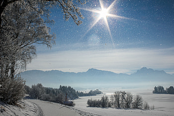Winter, Nature, Snow, Shine, Brilliance, Sunlight, Snowfall HD wallpaper