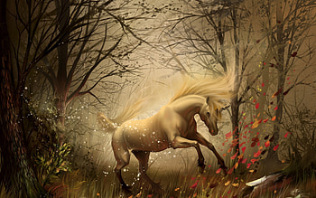 Unicorn in dreams, Laptop full , Broken car unicorn, Crossing Sony Xperia HD wallpaper