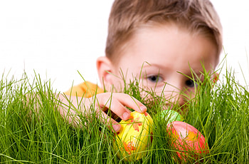 The hunter, egg, white, hunter, grass, orange, hand, boy, green, yellow, card, easter, child HD wallpaper