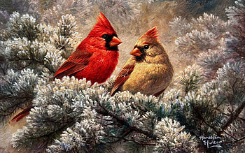 Cardinal Couple, frozen, tree, artwork, birds, painting, branches, ice HD wallpaper