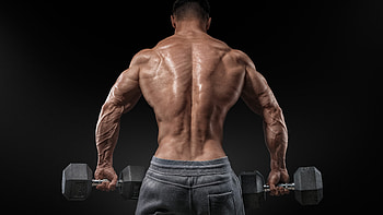 Bodybuilding, Fitness HD wallpaper