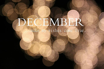christmas, dreams, imagination, quote, dream, new year, wish HD wallpaper