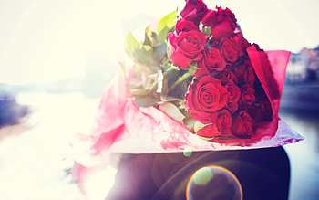 Flower bouquet, Romantic roses, beauty, Floral enchantment HD wallpaper