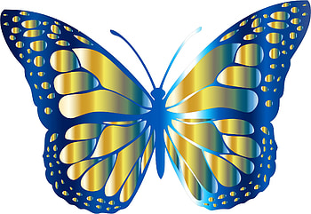 Butterfly, blue, white, yellow, fluture, card HD wallpaper