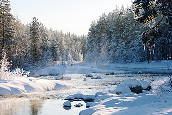 Nature, Rivers, Snow, Forest, Drifts HD wallpaper