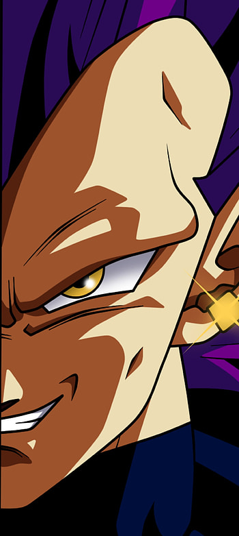 Vegeta (Ultra Ego), Saiyan, top-tier, goku, Ultra-Ego, DBS, Dragon-Ball-super, destroyer, God, prince HD phone wallpaper