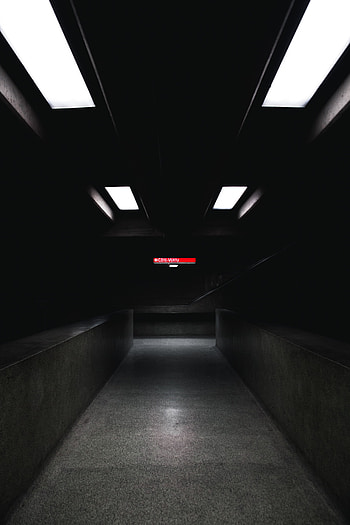 Dark, Illumination, Corridor, Premises, Room, Lighting HD phone wallpaper