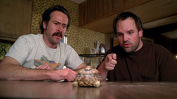 My Name Is Earl (TV Series), TV Shows, Season 4, Episode 18 HD wallpaper