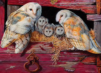 owl family, farm, birds, owl, animals HD wallpaper