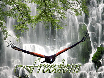 dom, waterfalls, hawk, falcon HD wallpaper