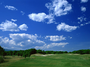 Sky, clouds, forests, nature HD wallpaper