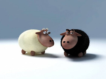 Cheeky Sheepz, white, black, fantasy, sheep HD wallpaper