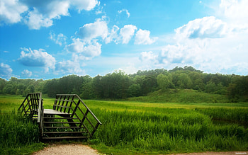 Plants, Landscape, Grass, Sky HD wallpaper
