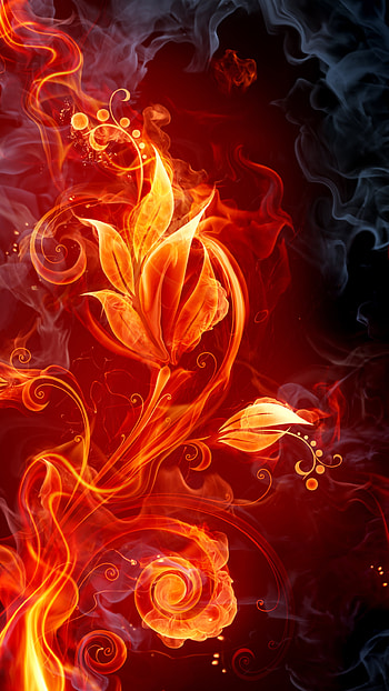 artistic, flower HD phone wallpaper