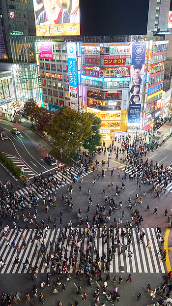 Shibuya crossing, Tokyo HD phone wallpaper