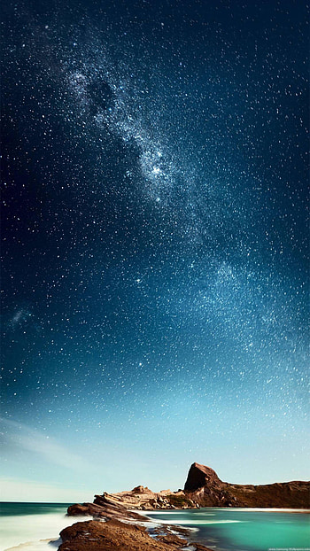Live, Nature HD phone wallpaper