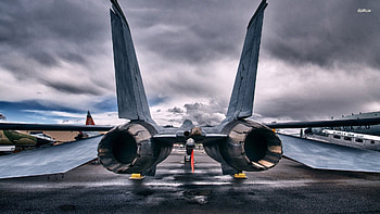Military - Grumman F-14 Tomcat HD wallpaper