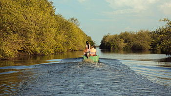 Suriname travels, Insider tips, Unique adventures, Sustainable tourism HD wallpaper