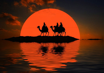 camels, sun, silhouette, sunset HD wallpaper