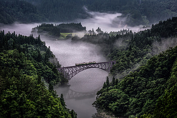 Train Going Over Bridge Surrounded By Trees And River, nature, trees, river, fog, train HD wallpaper
