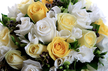Flowers, Roses, Bouquet, Composition, Handsomely, It's Beautiful HD wallpaper