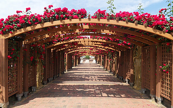 Flowering Archway, wooden, red, archway, flowers, pergolas HD wallpaper
