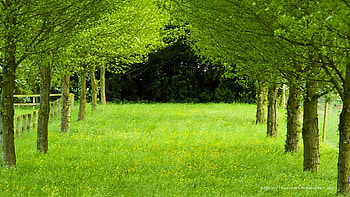 full for laptop 3D | | Pinterest | and HD wallpaper