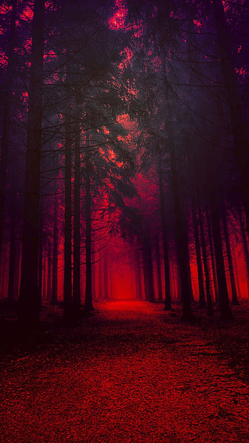 Darkness into the Wild, atmosphere, sky, Glitch HD phone wallpaper