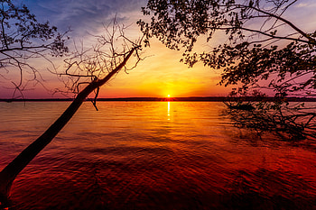 Sunset, Lake, Silhouette, Sky, Sun, Tree HD wallpaper