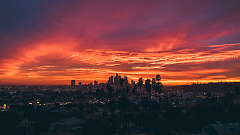 Hollywood Skyline, Travels, California HD wallpaper
