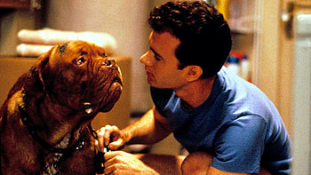 Turner and Hooch (Movies), Disney TV series, Turner and Hooch, Exciting news HD wallpaper