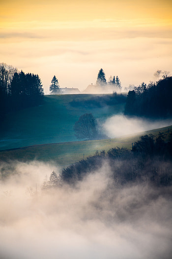 Landscape, Nature, Trees, Clouds, Fog, Hills HD phone wallpaper